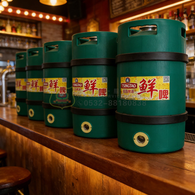 M型美标内钢外塑啤酒保鲜桶5L